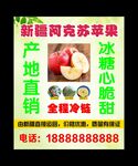 新疆阿克苏苹果 宣传海报