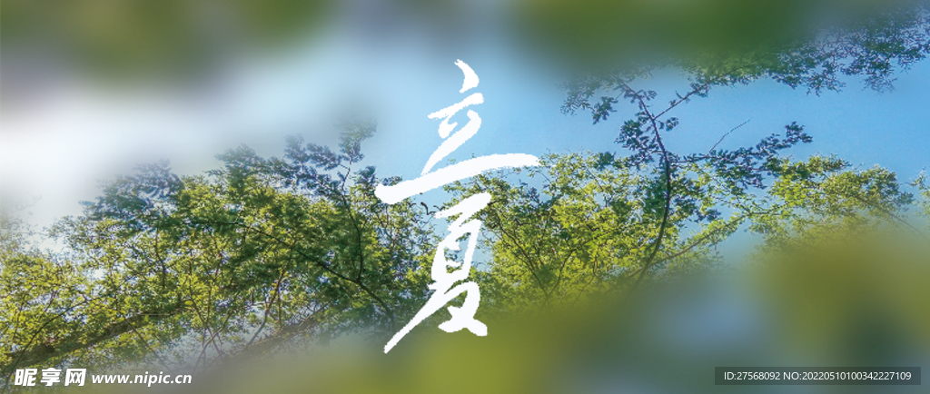 立夏节气banner