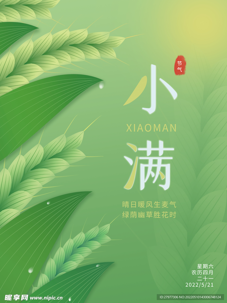 24节气麦子小满海报