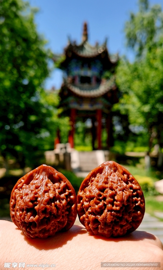 核桃