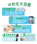 羊奶的功效