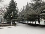 校园雪景