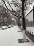 校园雪景