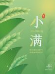 24节气麦子小满海报