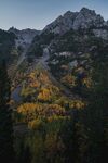 山