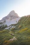 山