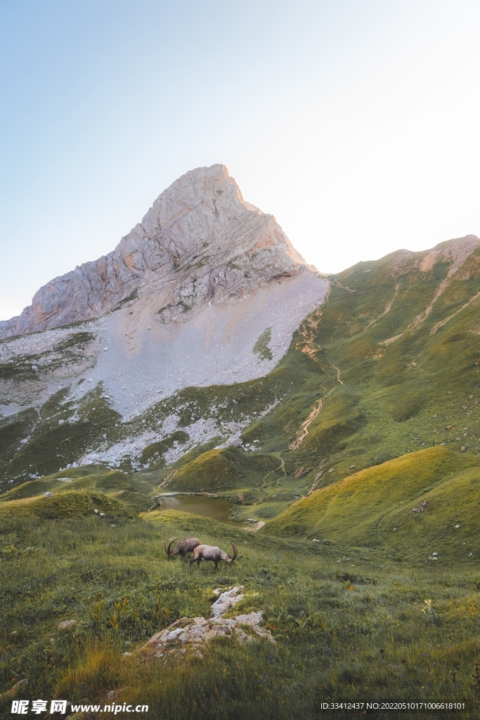 山