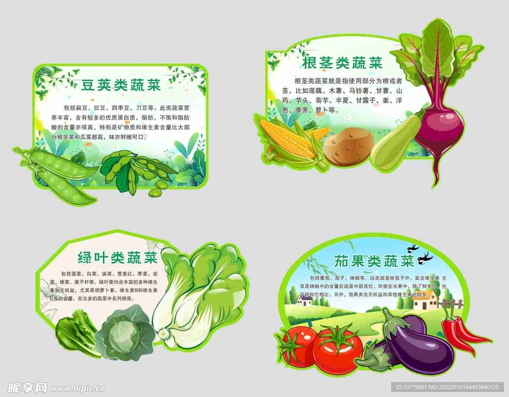 蔬菜知识宣传海报