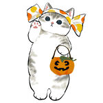彩绘猫咪