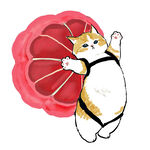 彩绘猫咪