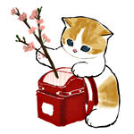 彩绘猫咪