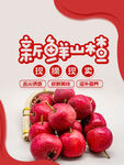 新鲜山楂