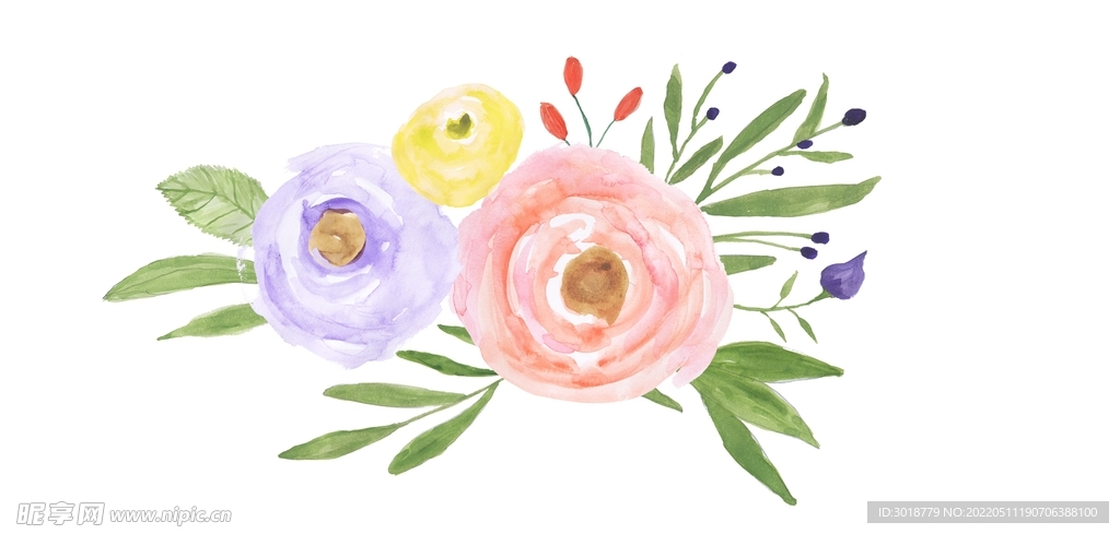 水彩花卉 