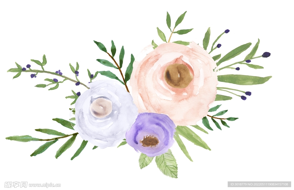 水彩花卉 