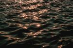 海