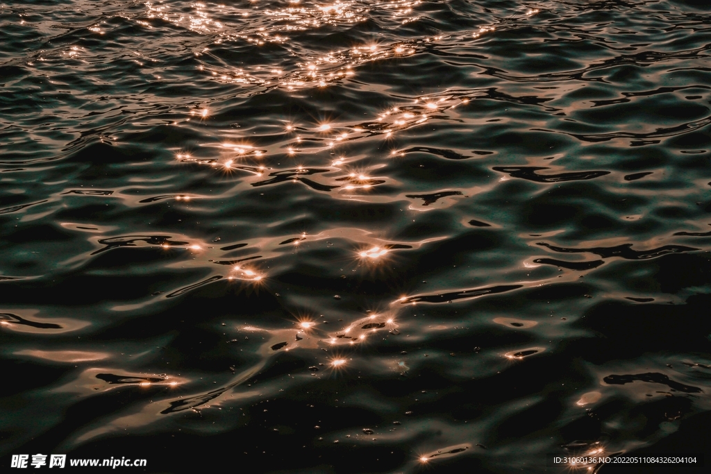 海