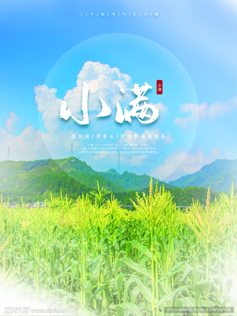 小满节气海报