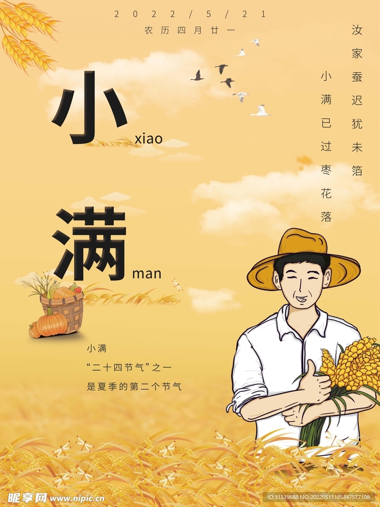 小满节气海报