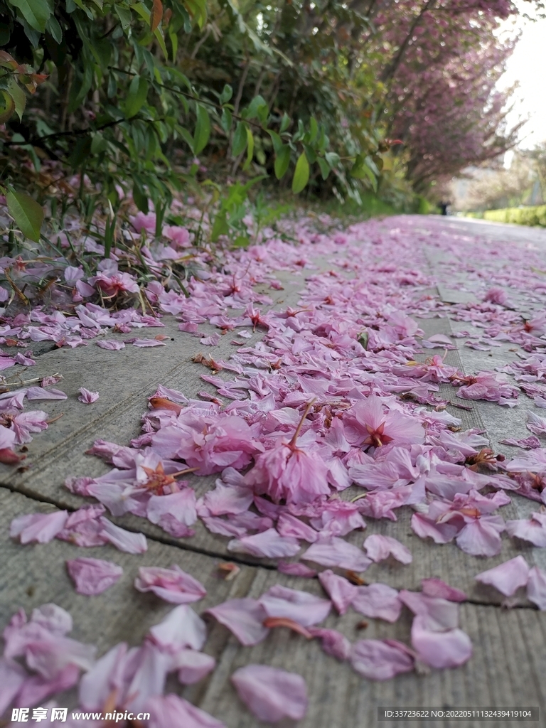 花路