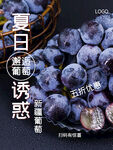 新疆葡萄