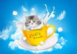 奶猫 