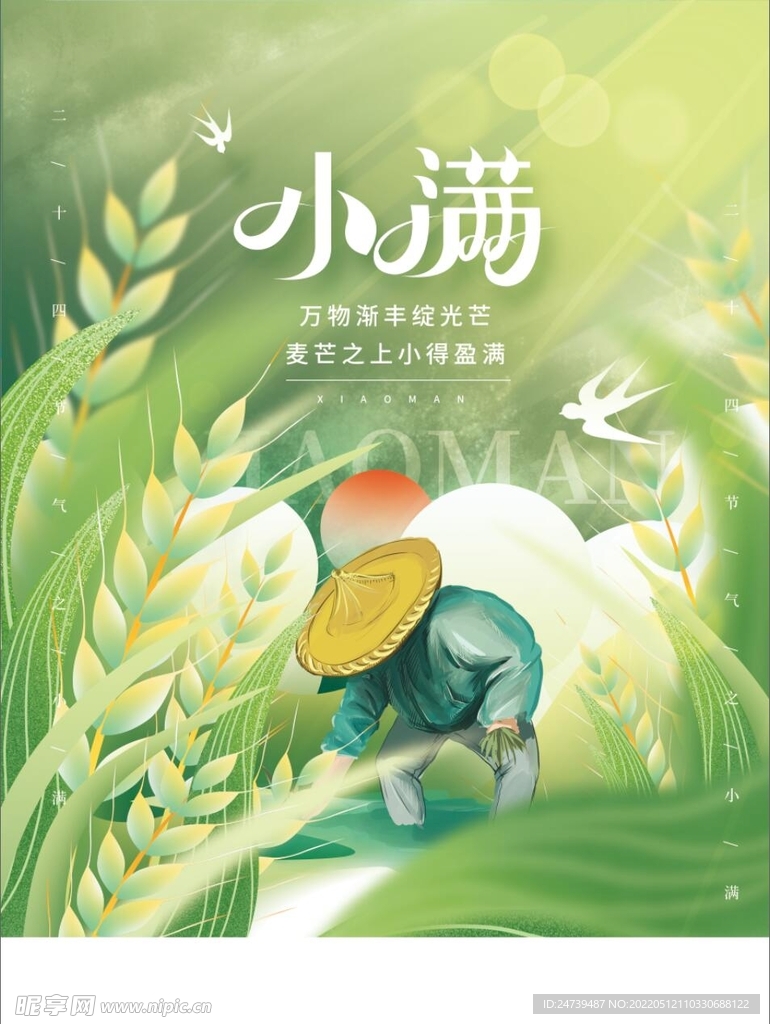 二十四节气小满节气