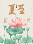 夏至莲花