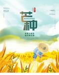 芒种海报