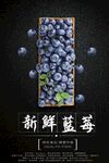 蓝莓海报
