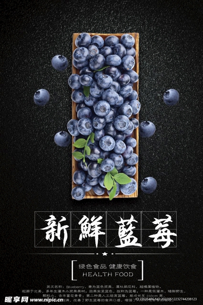 蓝莓海报