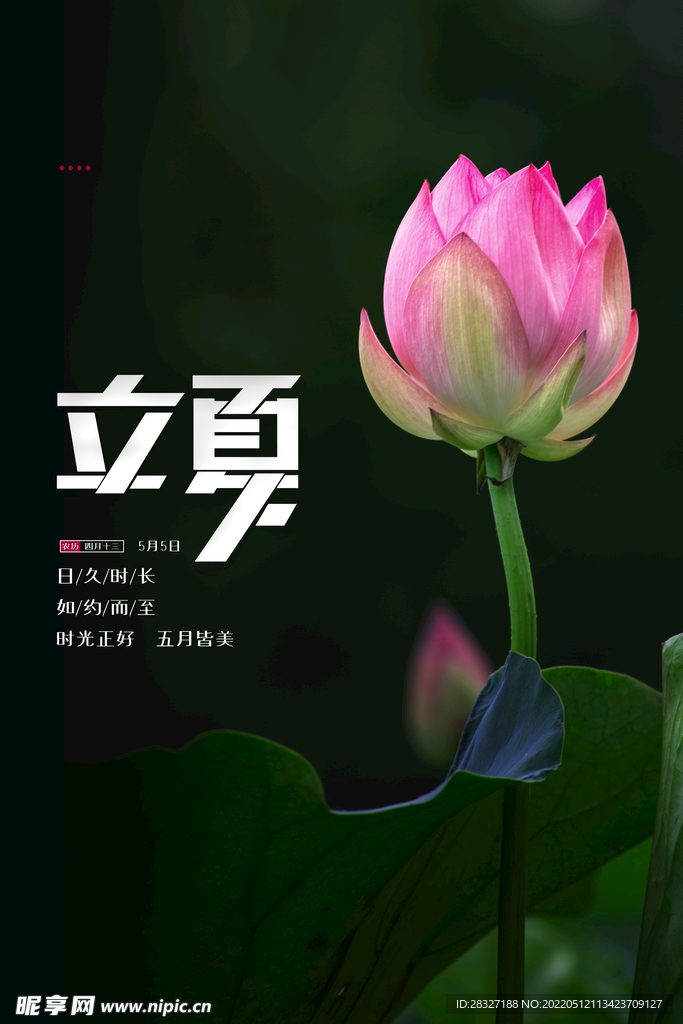 立夏             