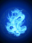 龙