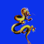 龙