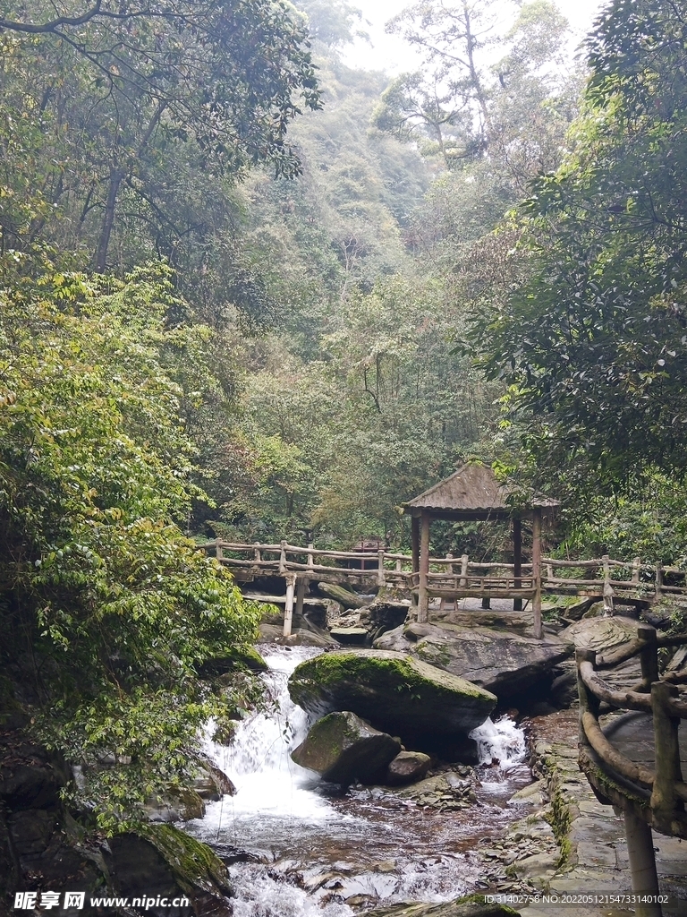 亚木沟