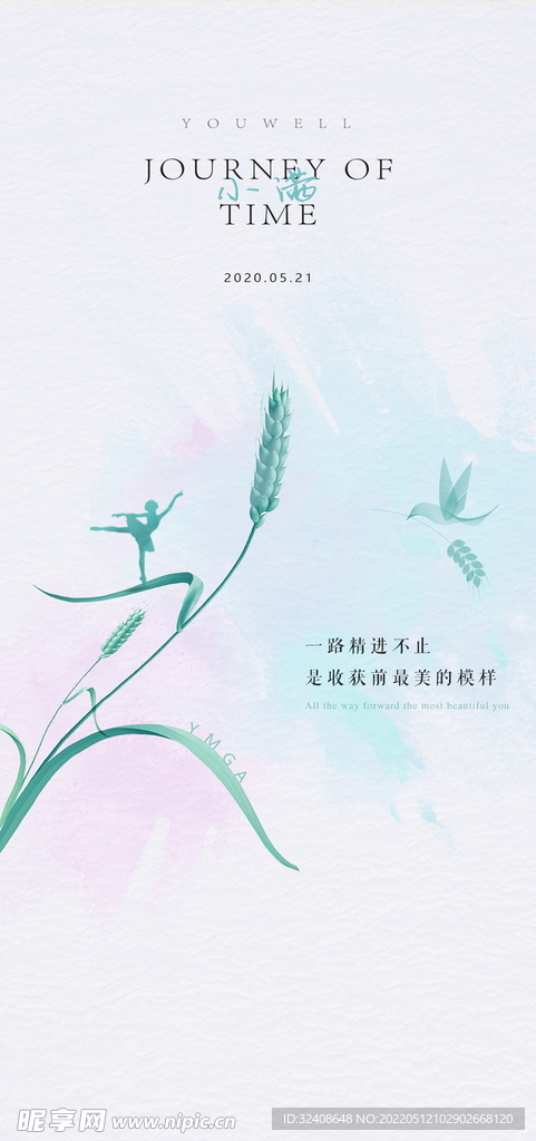小满节气海报
