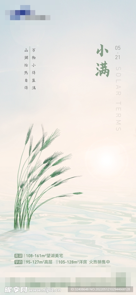小满节气海报