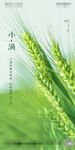 小满节气海报