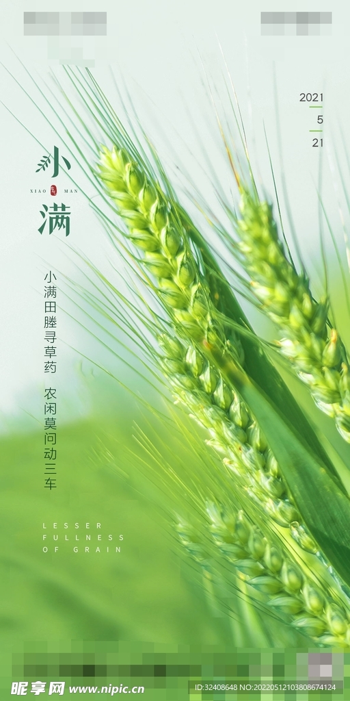小满节气海报