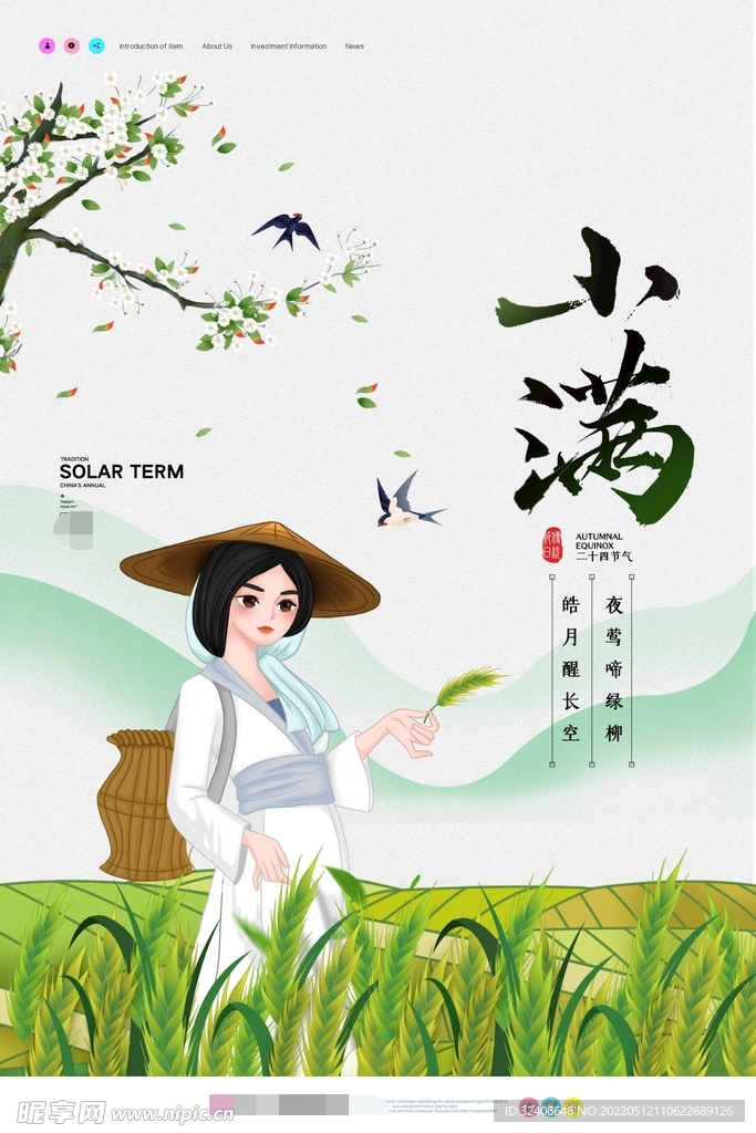 小满节气海报