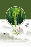 小满节气海报
