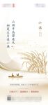 小满节气海报