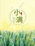 二十四节气小满海报