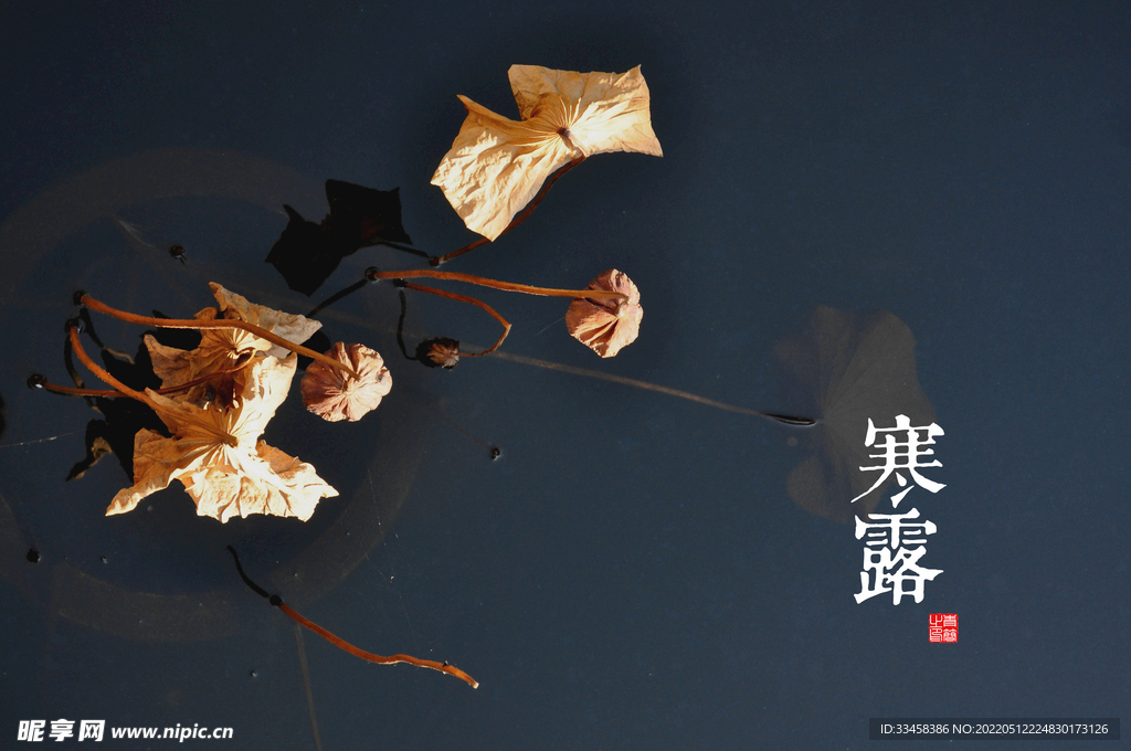 自然景观壁纸