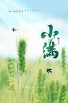 小满海报