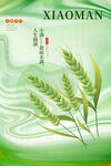 小满海报