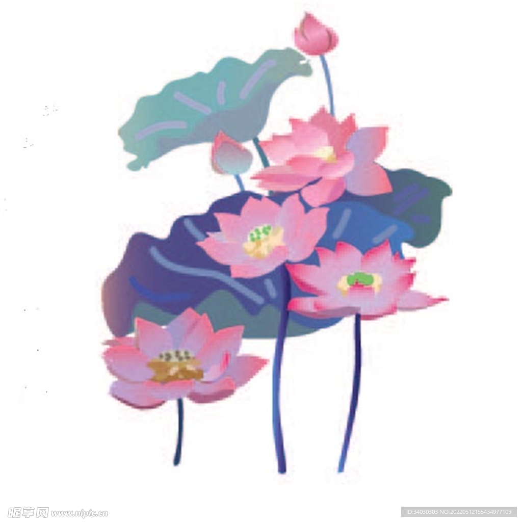 莲花