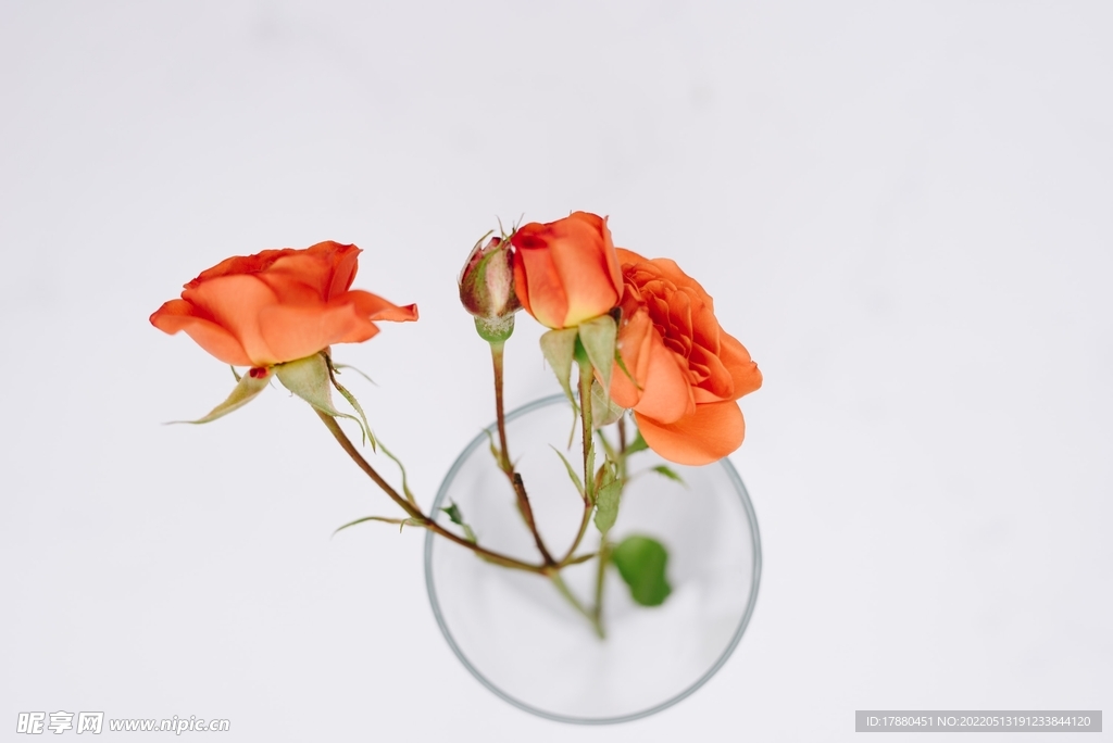 花卉