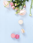 玫瑰花