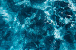 海水