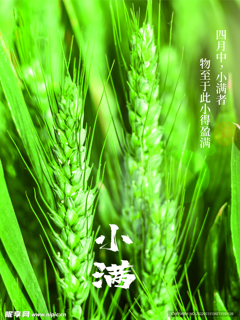 小满
